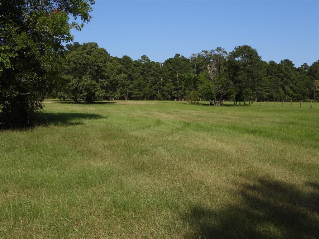 18855 Bethel Road, Richards, Texas image 7