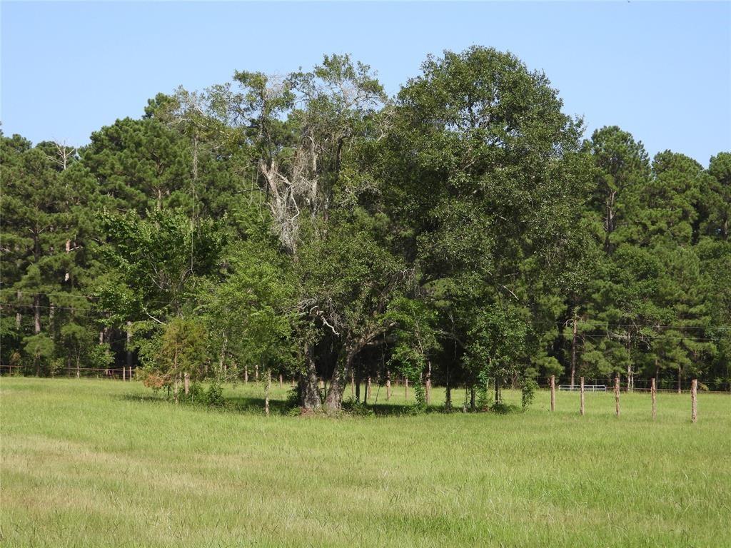 18855 Bethel Road, Richards, Texas image 12