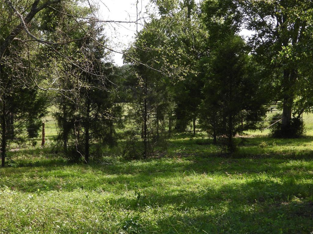 18855 Bethel Road, Richards, Texas image 15