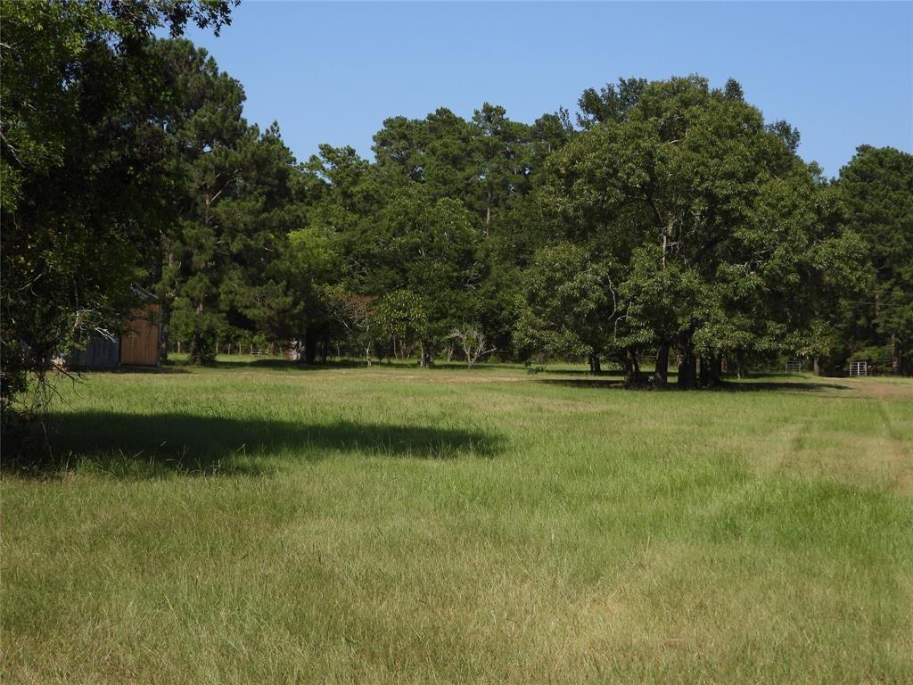 18855 Bethel Road, Richards, Texas image 9