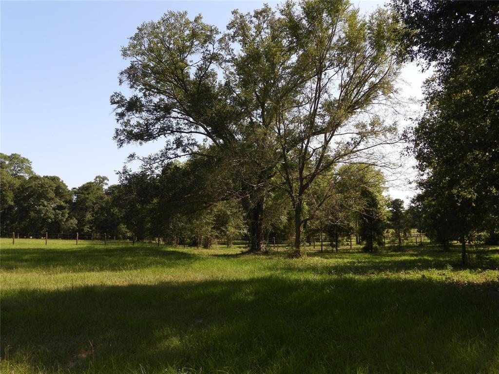 18855 Bethel Road, Richards, Texas image 11