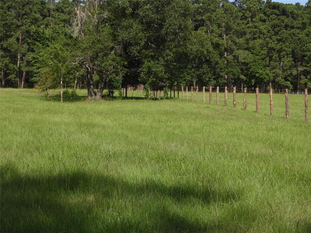 18855 Bethel Road, Richards, Texas image 6