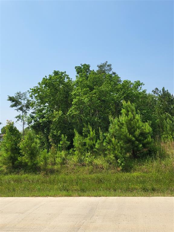 898 County Road 5003, Cleveland, Texas image 5