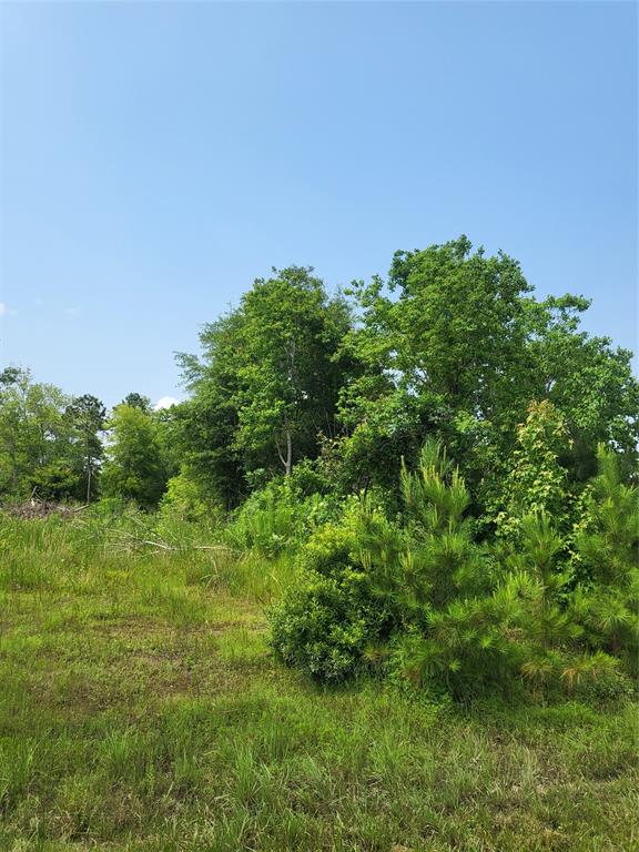 898 County Road 5003, Cleveland, Texas image 3