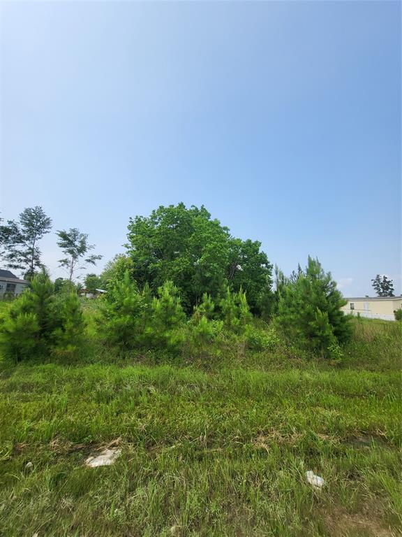 898 County Road 5003, Cleveland, Texas image 4