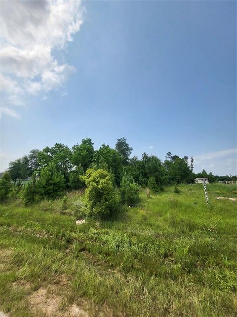 Photo of 898 County Road 5003, Cleveland, TX 77327 (MLS # 57311113)