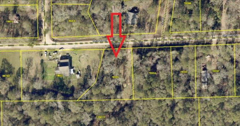 Lot 14 Sherwood Drive, Shepherd, Texas image 1