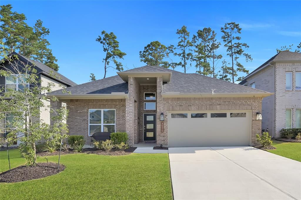 40519 Goldeneye Place, Magnolia, Texas image 1