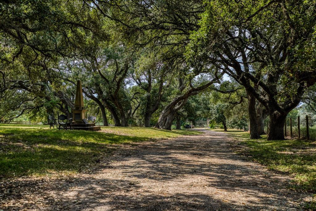 4257 Willow Springs Road, Burton, Texas image 1