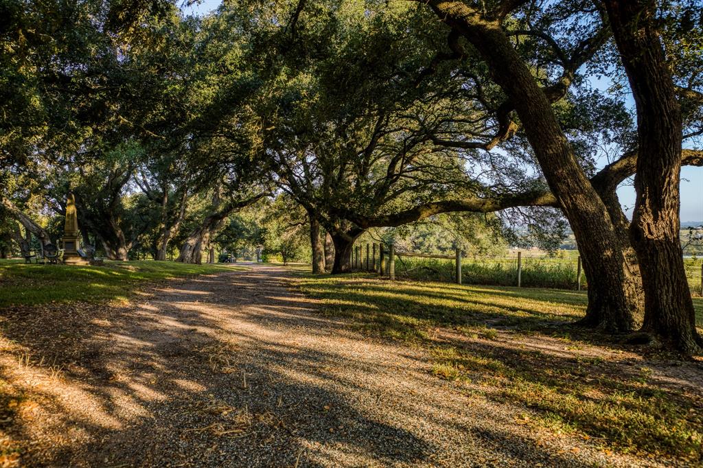 4257 Willow Springs Road, Burton, Texas image 3