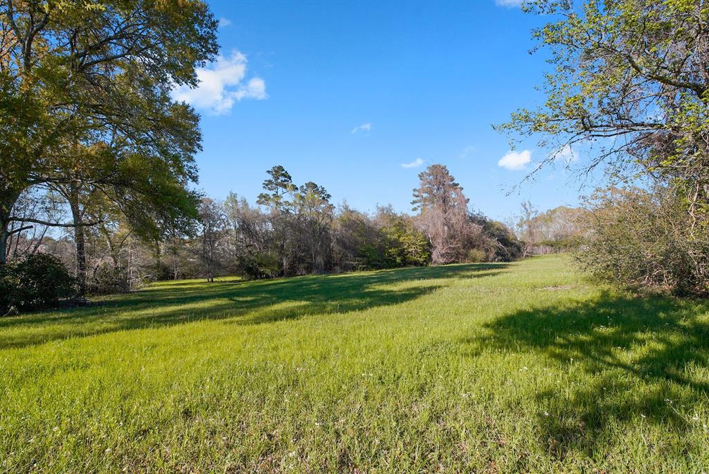 138 Harley Drive, Montgomery, Texas image 17