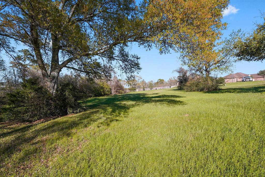 138 Harley Drive, Montgomery, Texas image 18