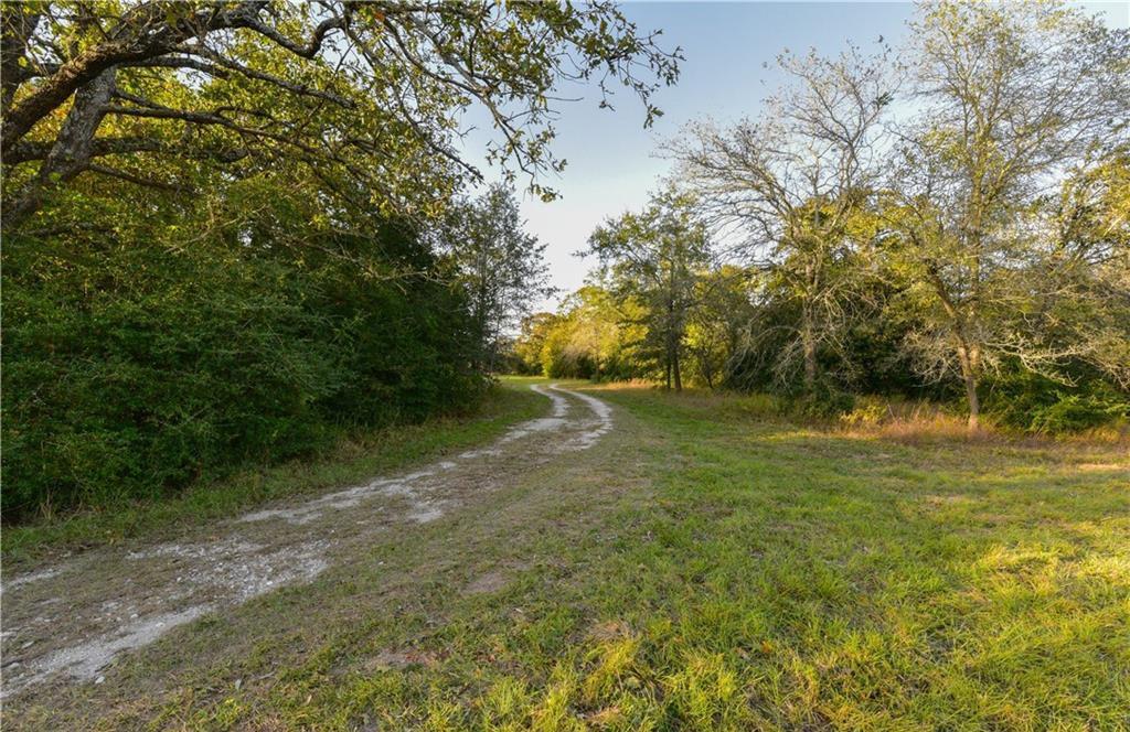 12200 Winn Road, Franklin, Texas image 27