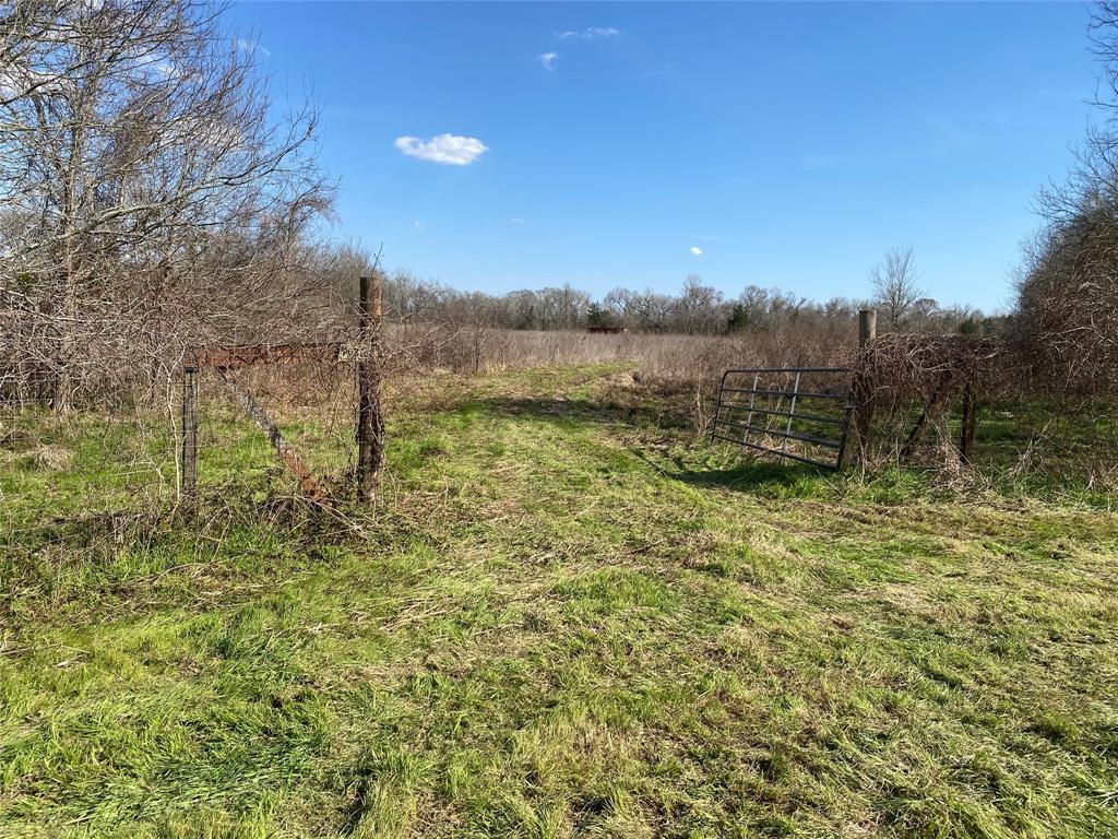 Korthauer Road, Bellville, Texas image 13