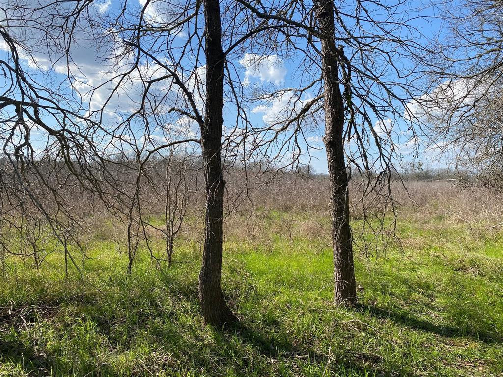 Korthauer Road, Bellville, Texas image 5