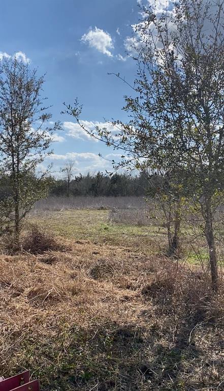 Korthauer Road, Bellville, Texas image 15