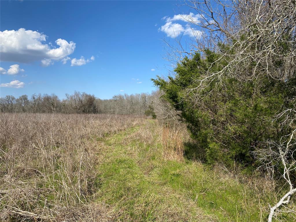 Korthauer Road, Bellville, Texas image 11