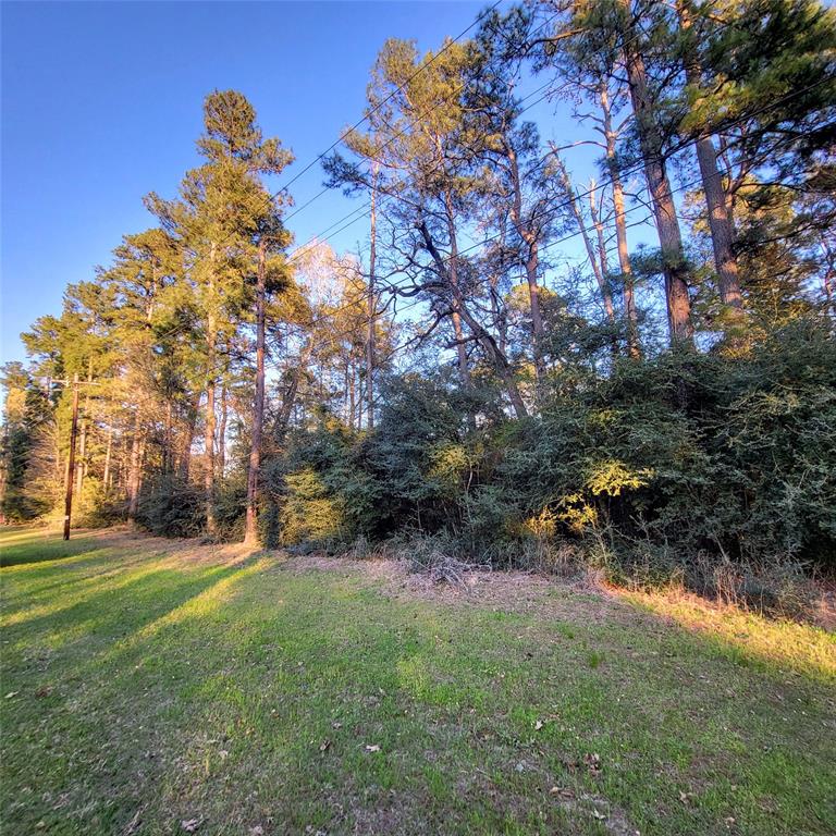 000 Baneberry Road, Magnolia, Texas image 8