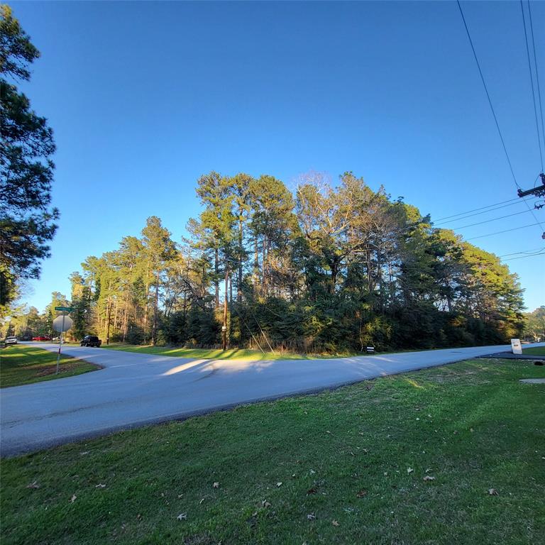 000 Baneberry Road, Magnolia, Texas image 1