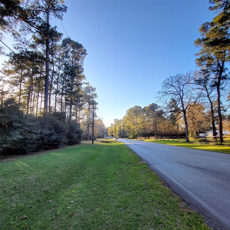 000 Baneberry Road, Magnolia, Texas image 6