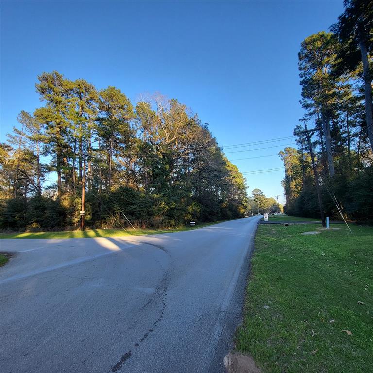 000 Baneberry Road, Magnolia, Texas image 3
