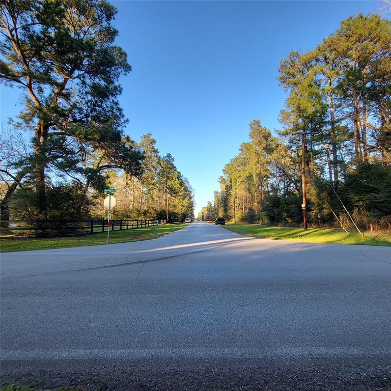 000 Baneberry Road, Magnolia, Texas image 5