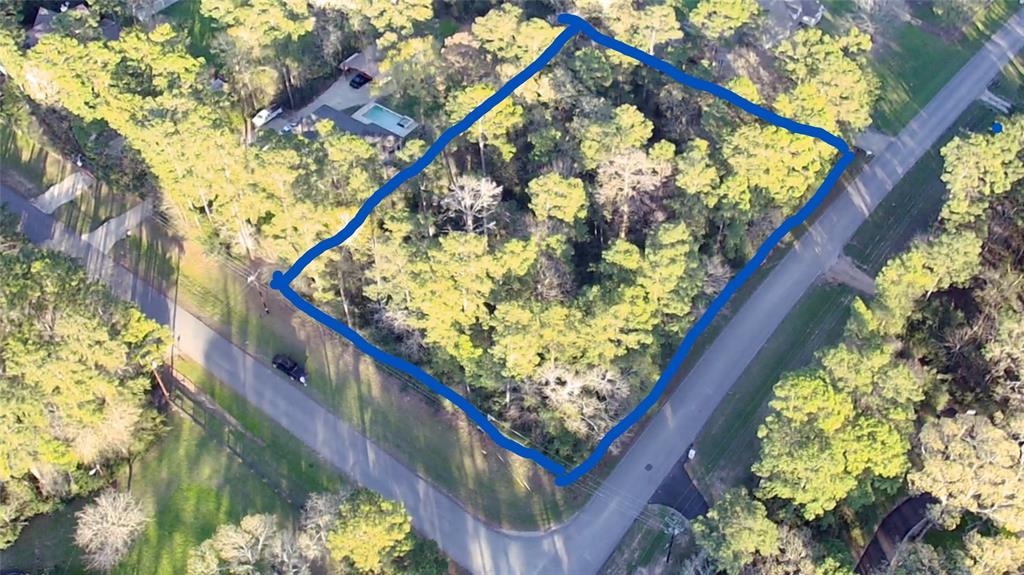 000 Baneberry Road, Magnolia, Texas image 2