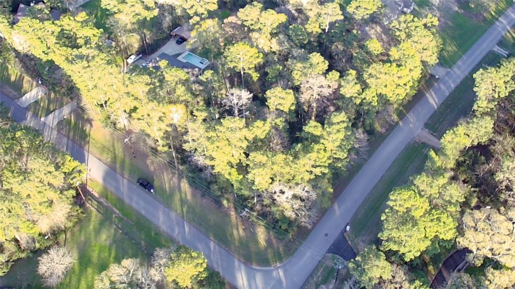 000 Baneberry Road, Magnolia, Texas image 11