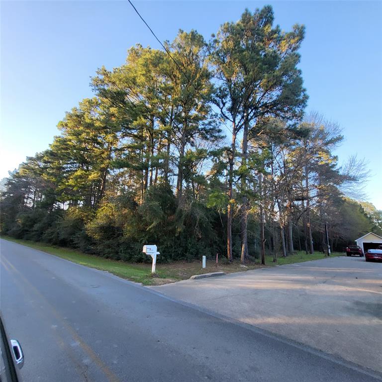 000 Baneberry Road, Magnolia, Texas image 10
