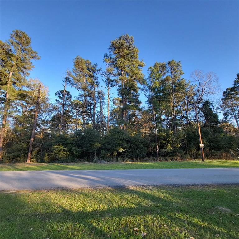 000 Baneberry Road, Magnolia, Texas image 9