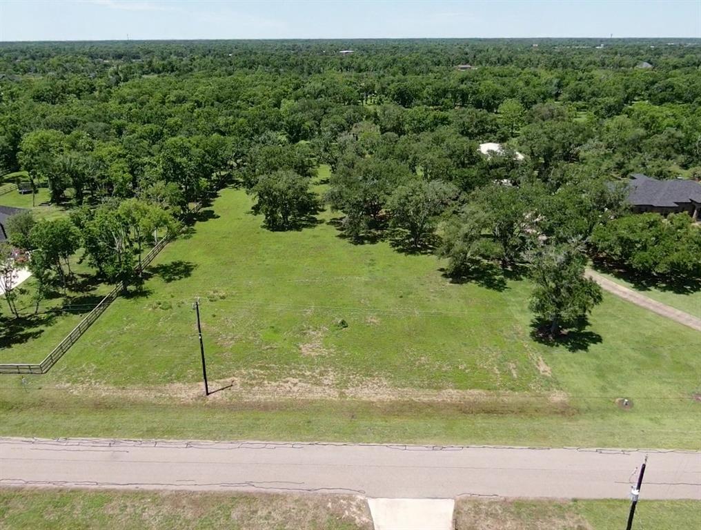 33302 Blue Crab Court, Richwood, Texas image 9
