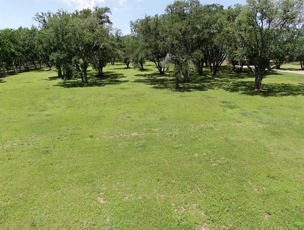 33302 Blue Crab Court, Richwood, Texas image 4