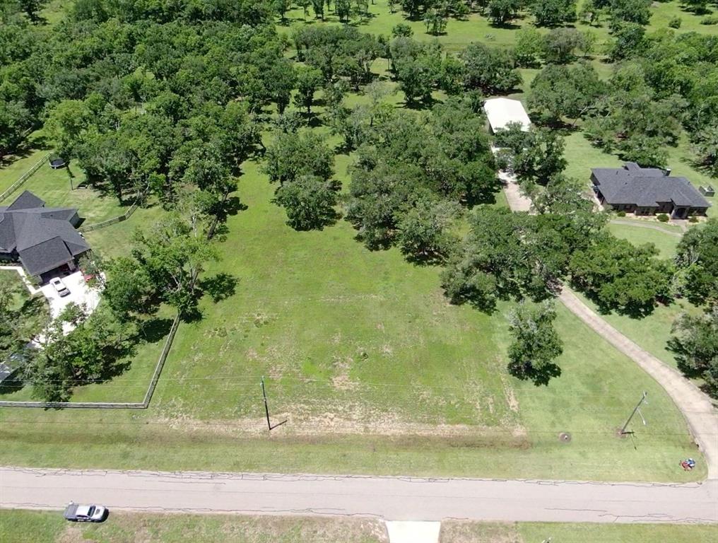 33302 Blue Crab Court, Richwood, Texas image 8