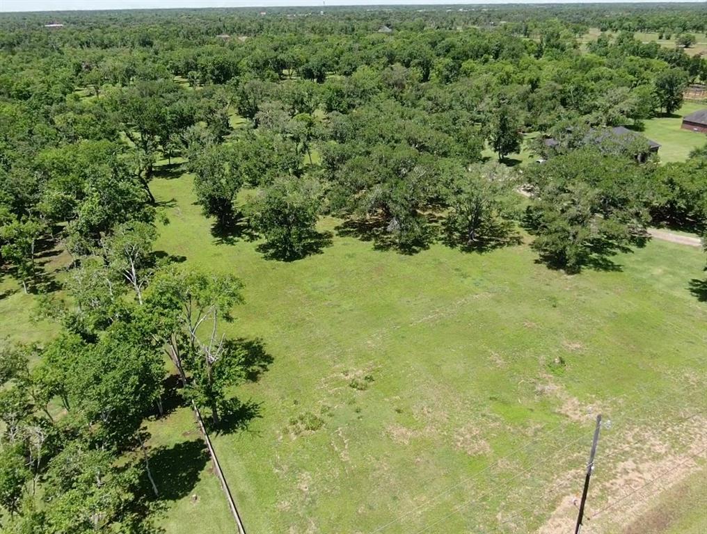 33302 Blue Crab Court, Richwood, Texas image 10