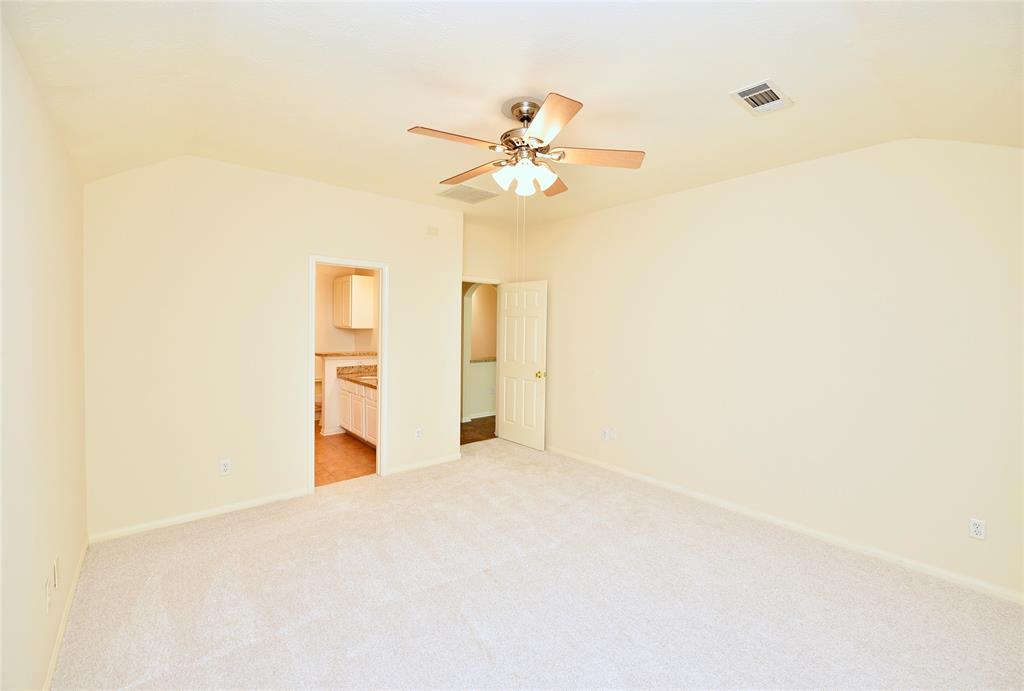 17023 Canterbury Green Lane, Sugar Land, Texas image 14