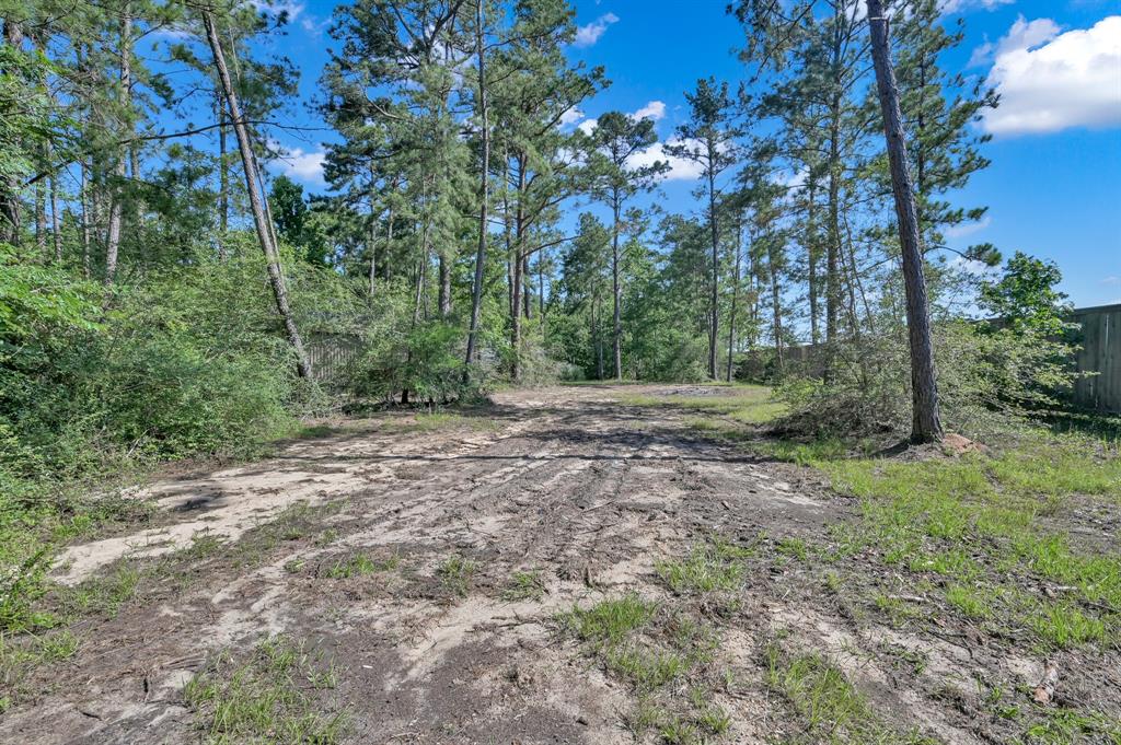 11831 Park Slope Drive, Willis, Texas image 47