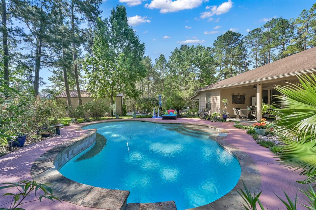 11831 Park Slope Drive, Willis, Texas image 34