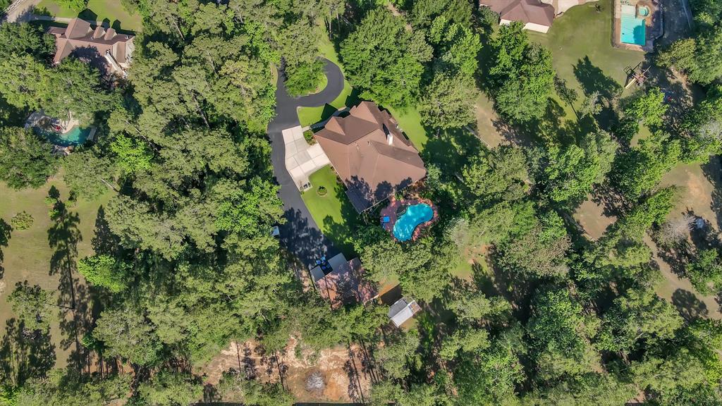 11831 Park Slope Drive, Willis, Texas image 48