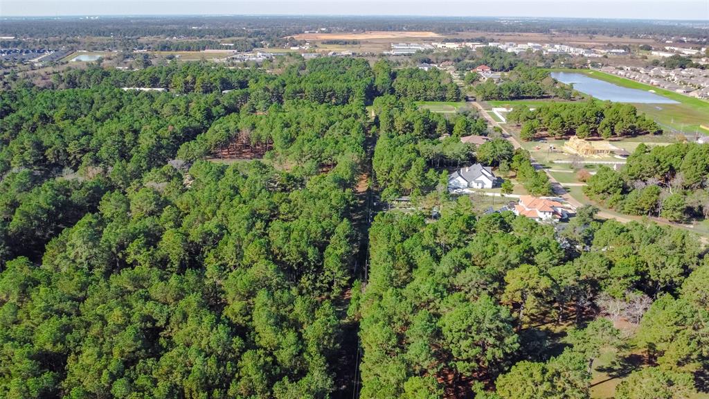 Grant Road, Cypress, Texas image 6