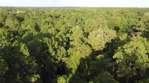 Vacant Land For Sale - Prop Id 101208<br/> Hockley, TX 77447