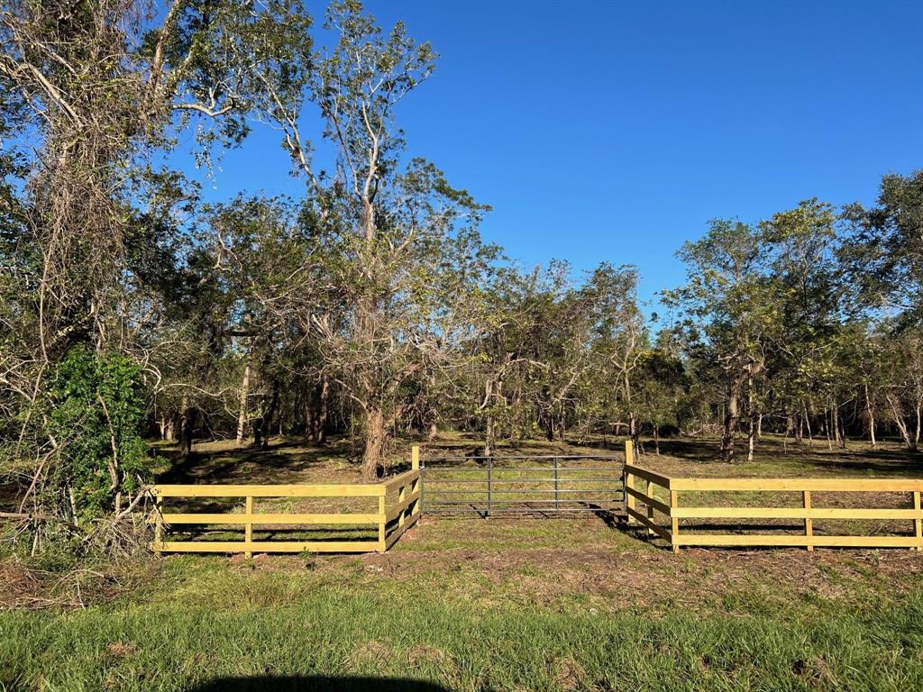 441 County Road 849, Brazoria, Texas image 1