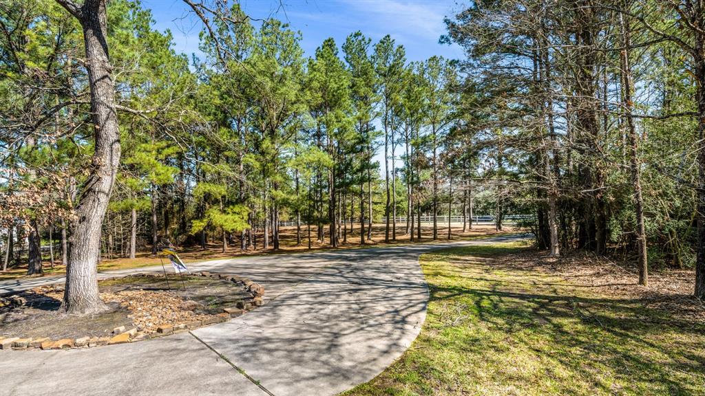 8408 Grand Lake Estates Drive, Montgomery, Texas image 37
