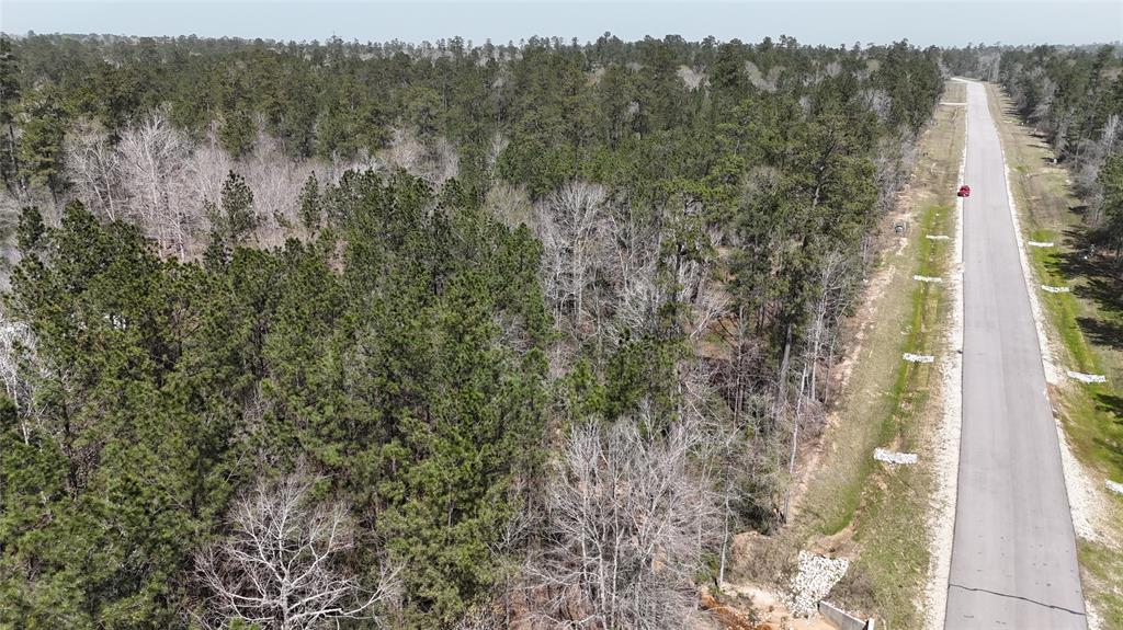 309 Exploration Road, Willis, Texas image 21