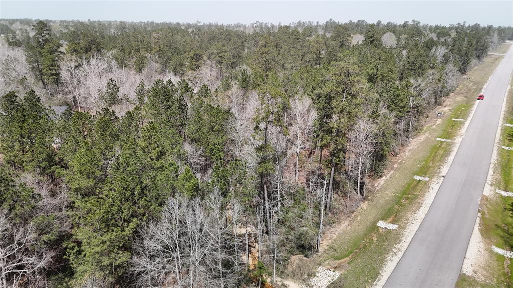 309 Exploration Road, Willis, Texas image 20
