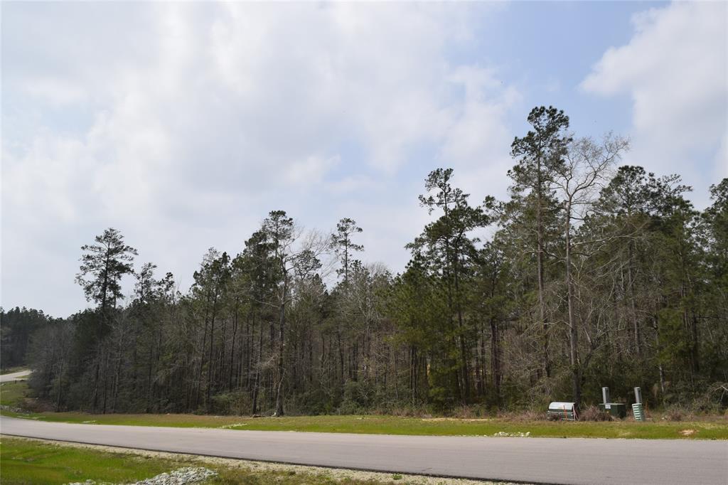 309 Exploration Road, Willis, Texas image 8