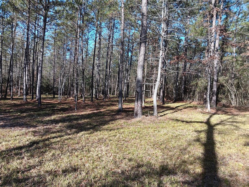 309 Exploration Road, Willis, Texas image 27