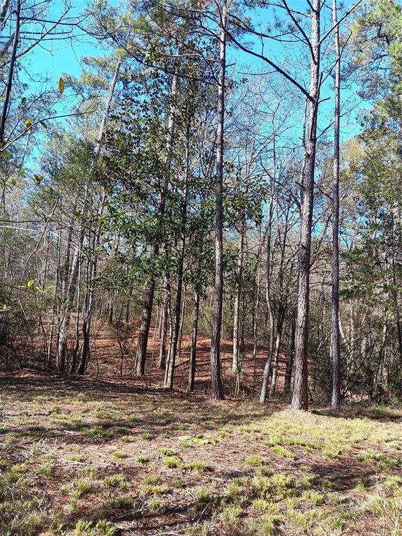 309 Exploration Road, Willis, Texas image 28