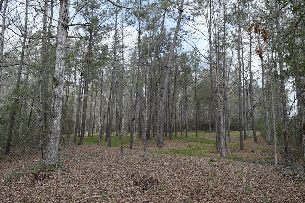 309 Exploration Road, Willis, Texas image 16