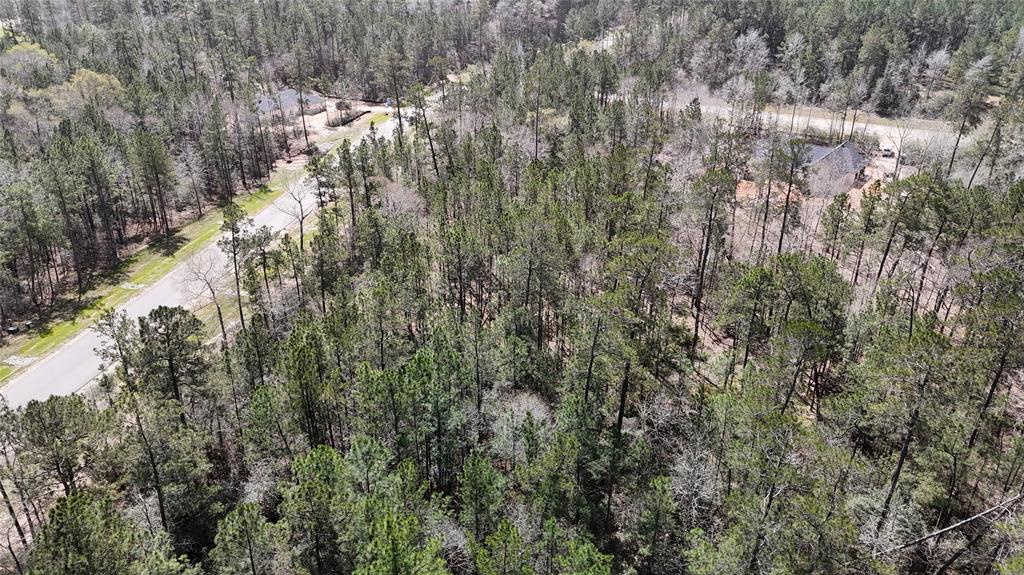 309 Exploration Road, Willis, Texas image 25