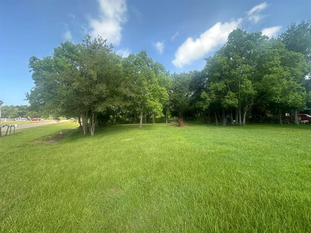 705 Eagle Road, Anahuac, Texas image 3